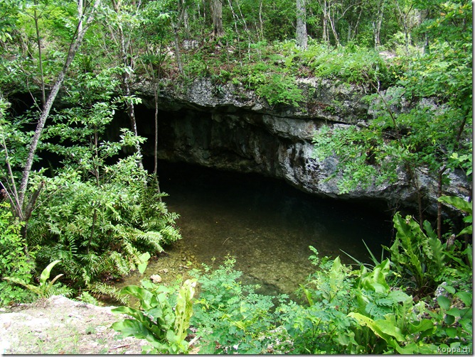 110716 Cenote Dreamgate (5)