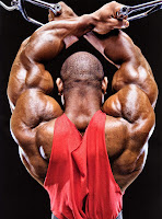 Bodybuilder wallpapers 0103