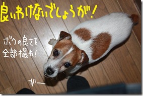 今日カズ１００１１９　４
