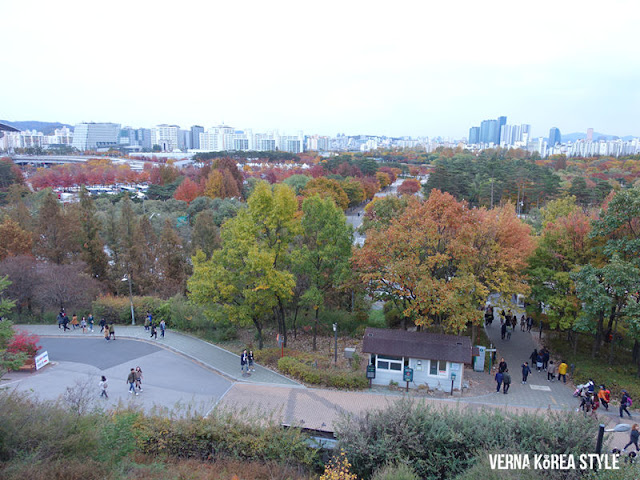 韓國, 景點, 首爾, 賞楓, 夜景, 天空公園,藍天公園,芒草