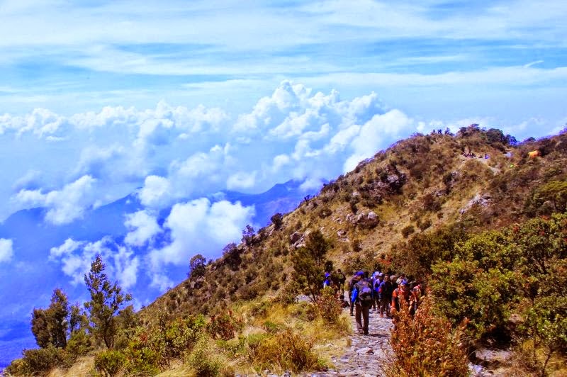 Surga Dunia Yang Ada Di Indonesia