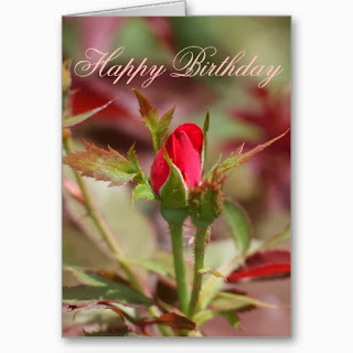 Happy Birthday with Red Roses, part 2