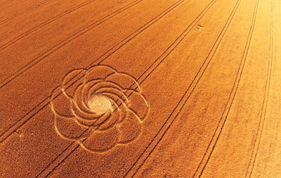 New crop circles in Germany, Europe discovered July 12, 2016