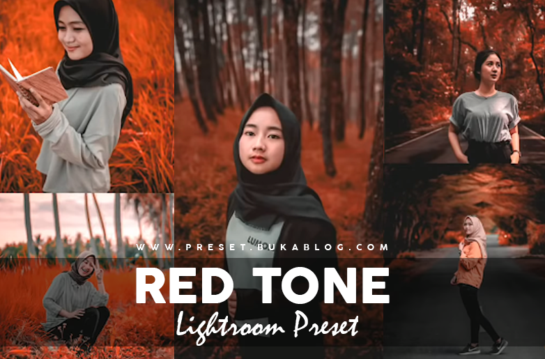 Free RED TONE Lightroom Preset XMP + DNG