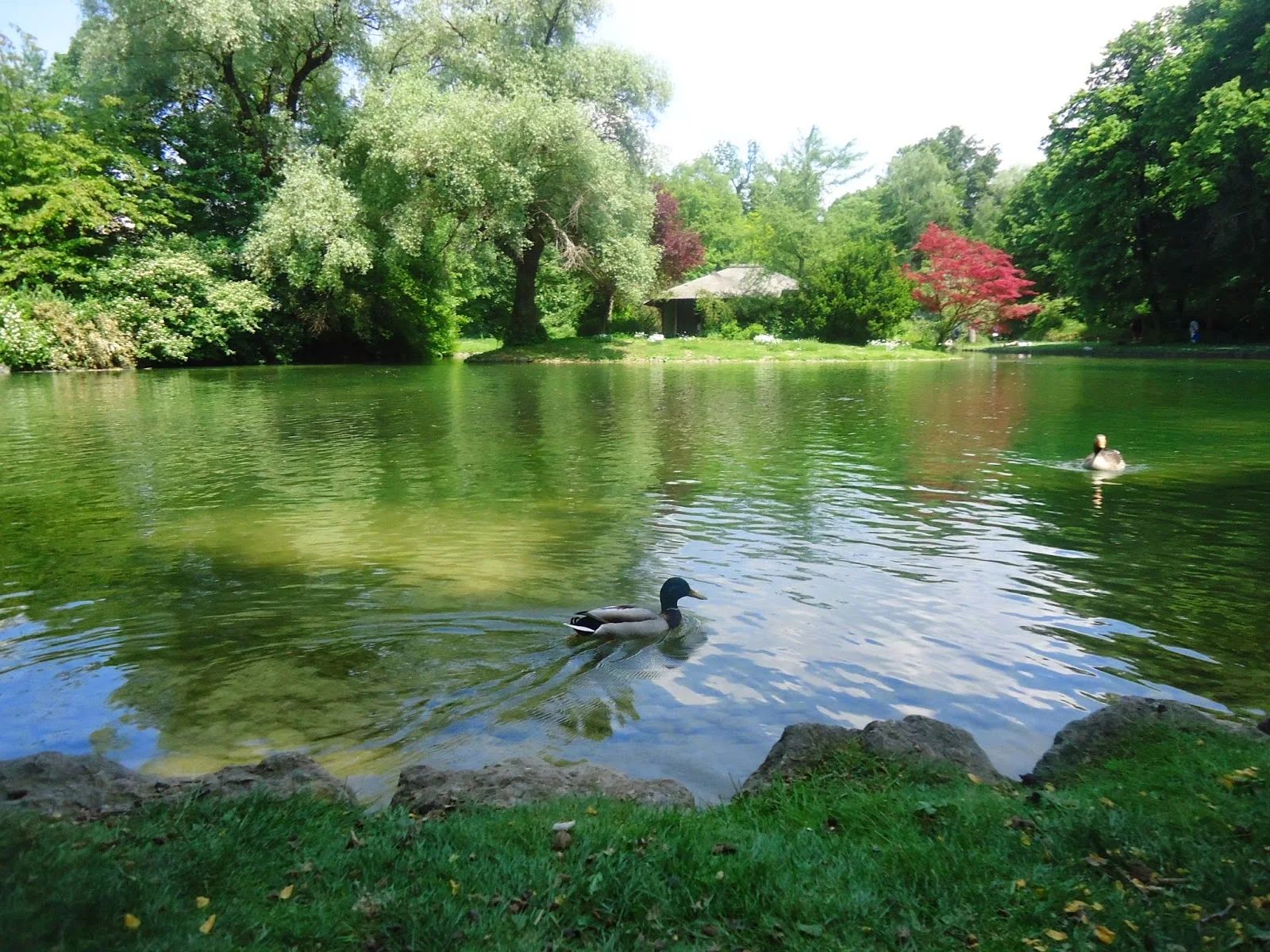 Travel Germany Munich Englischer Garden Park