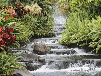 beautiful water fall collections pictures