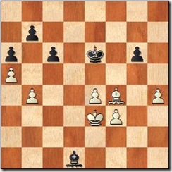 opposite_bishop_94