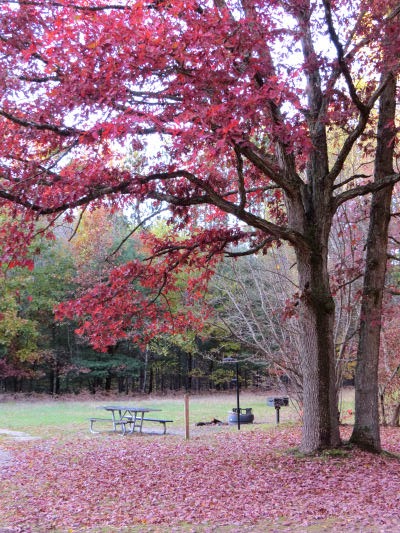 picnic area in fall