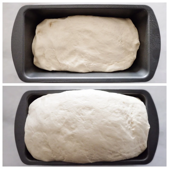 second rise before and after in loaf pan