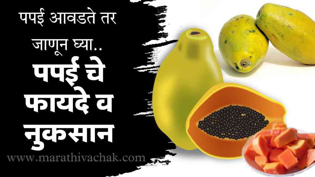 पपई आवडते तर जाणून घ्या पपई खाण्याचे फायदे | papaya benefits in marathi