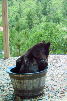 A Barrel of Bear ....