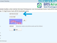 Cara Cek BPJS Kesehatan Online