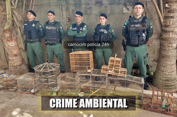 VÍDEO: POLÍCIA MILITAR DE CAMOCIM PRENDE EX-DETENTO SOB SUSPEITA DE CRIME AMBIENTAL E CONSUMO DE DROGAS