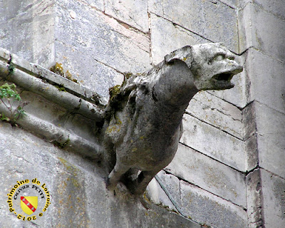 Toul - Cathédrale Saint-Etienne : Gargouille