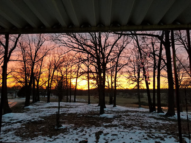 Yellow and orange sunset through trees in Missouri