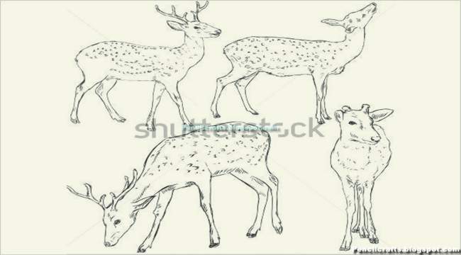 Tribal Deer Drawings