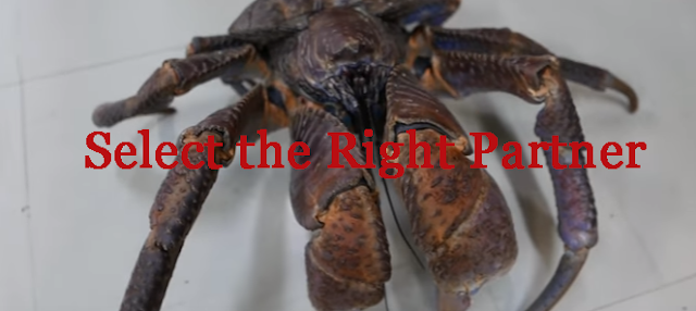 crab mentality meaning