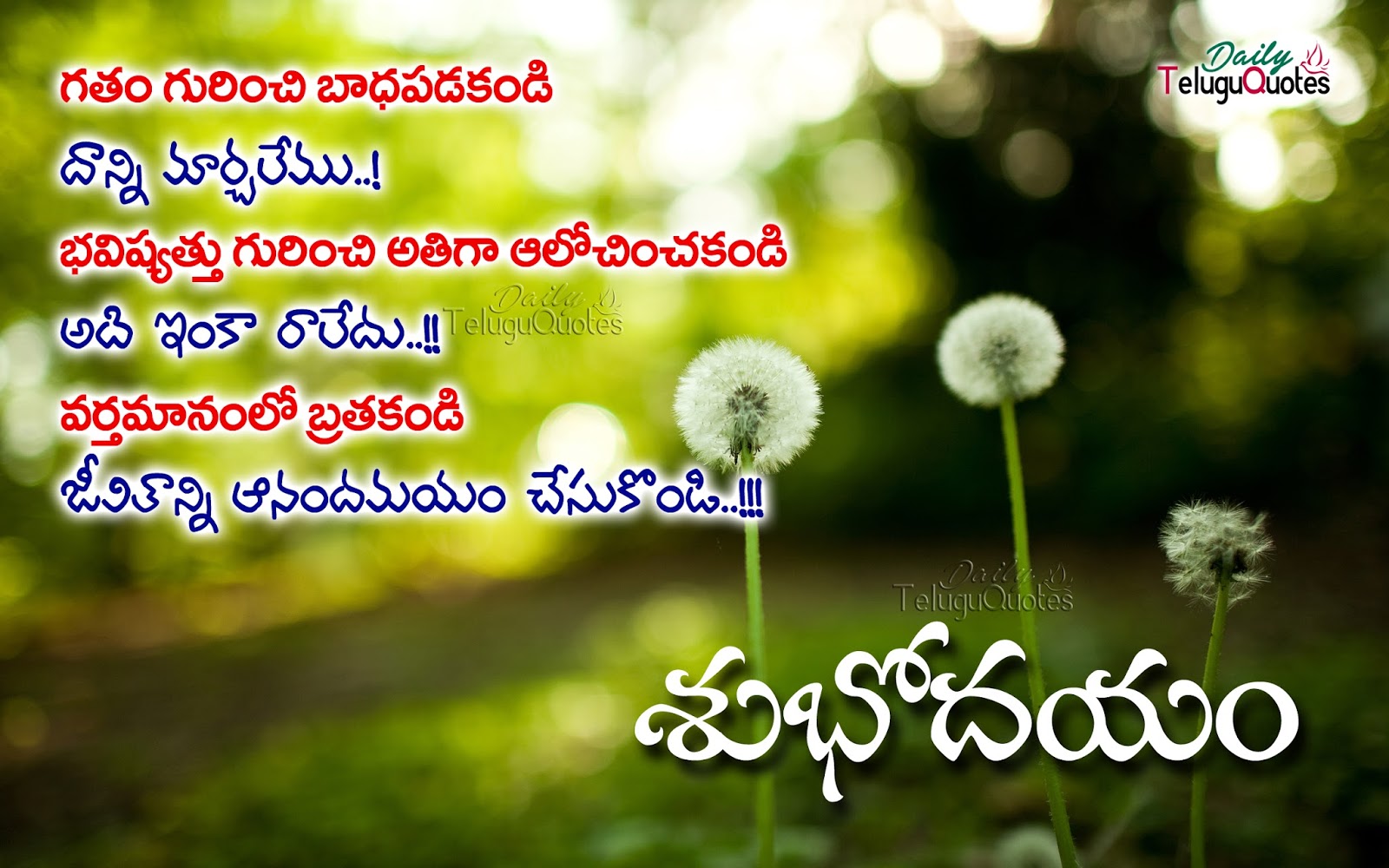 Good morning Telugu greetings with inspiring lines wishes