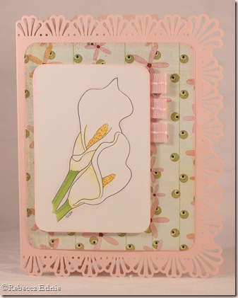 calla lily kioshi sympathy