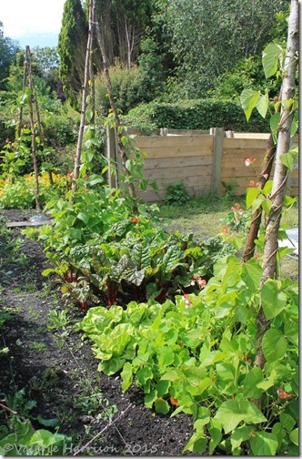 18-Broughton-House-gardens