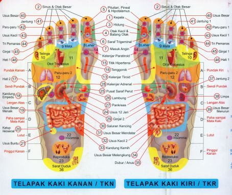 Titik Akupunktur /Pijat Kaki, Penulis dan Perancang ASLI 