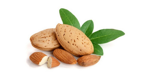  DISTRIBUTOR KACANG ALMOND CALIFORNIA