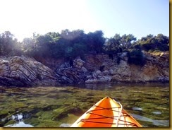 biquettes