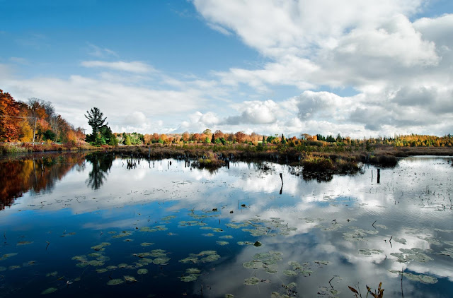 The still pond waters on a fall day at the Ayers Wright Sanctuary in Oro-Medonte.