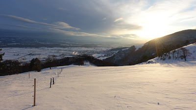 Abendstimmung am Oensinger Roggen