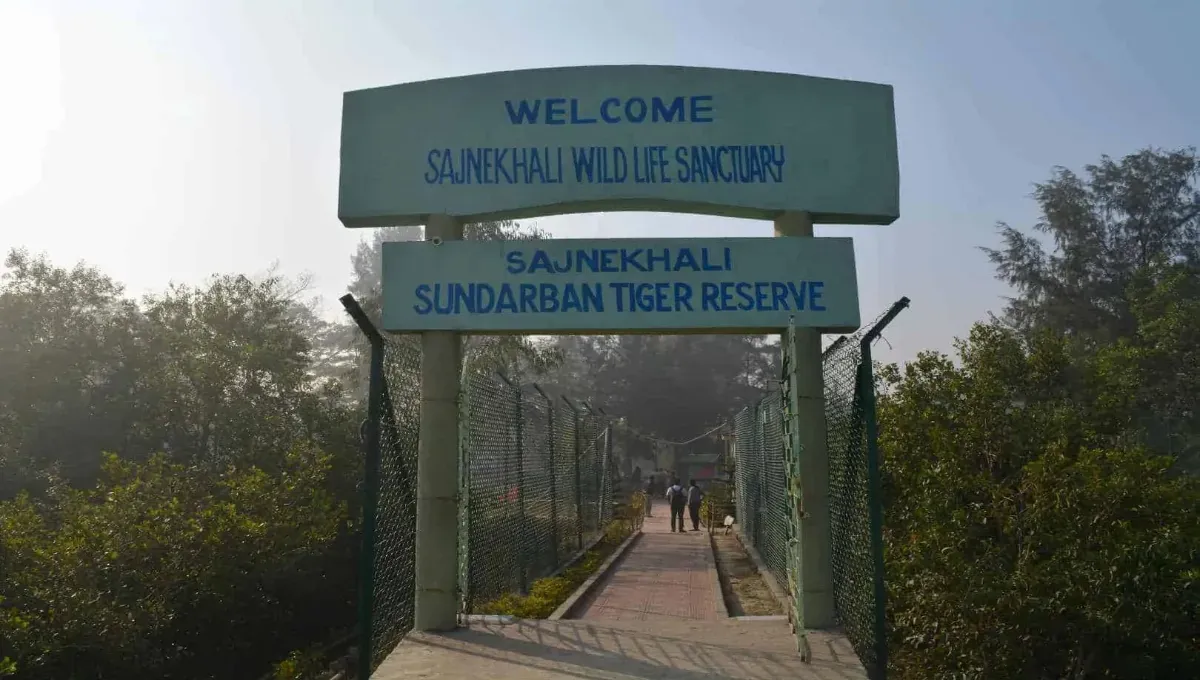 Sajnekhali Wildlife Sanctuary