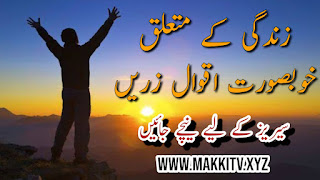 Quotes In Urdu About Life