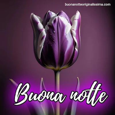 dolce buonanotte immagini recenti