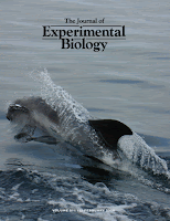 The Journal of Experimental Biology