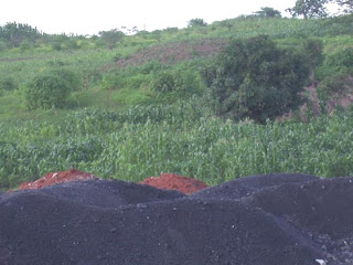 Piles of spent ore litter the jungles and grassy savannahs of the Congo.