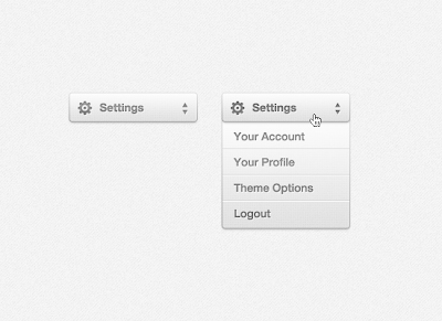 Settings Drop Down Menu (PSD)