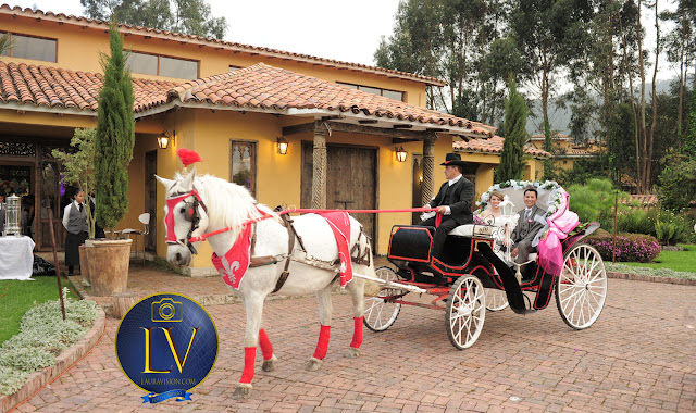 Carruaje con cabllo decoardo para una boda, los novios adentro posan para la foto,al fondo la casa amarilla con tejas de ladrillo