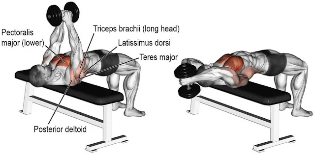 Men Who Want To Develop A Stronger, Bigger , And Wider Chest Should Do This Workout