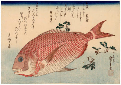 Ukiyo-e. Träsnitt. Kacho-e. Fiskar. Hiroshige.