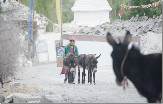 Ladakh158