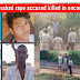 Get Daily News , Latest News , Today News 24x7 : Hyderabad Rape Encounter Killing News