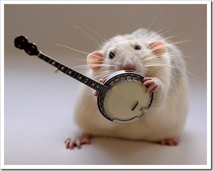 awesome and cool musical mouse9