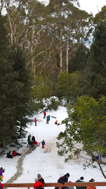 Mt Donna Buang Snow