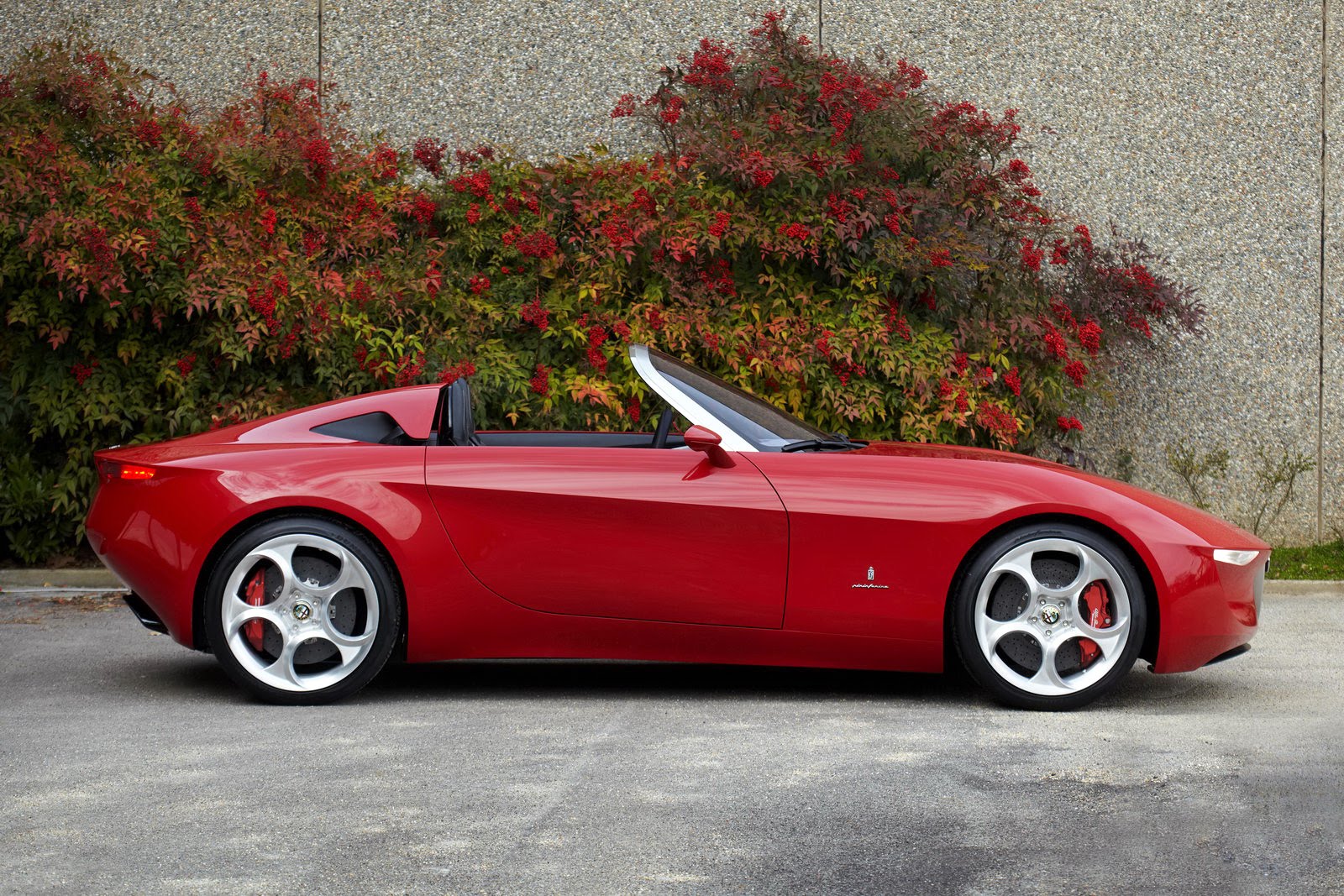 alfa romeo spider