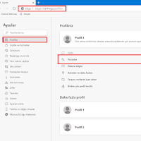 Microsoft Edge'de Kayıtlı Şifreleri Dışa Aktarma