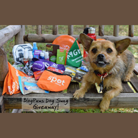 BlogPaws Dog Swag giveaway