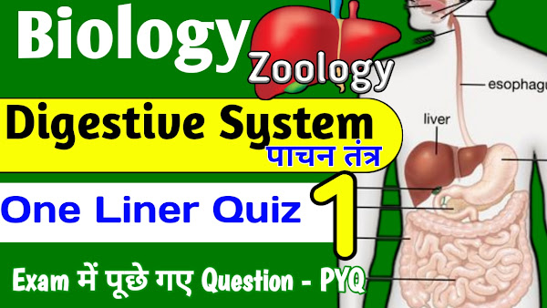Digestive System One Liner Questions