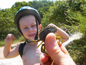 boy horrified by small crab live crab caught off hayling island