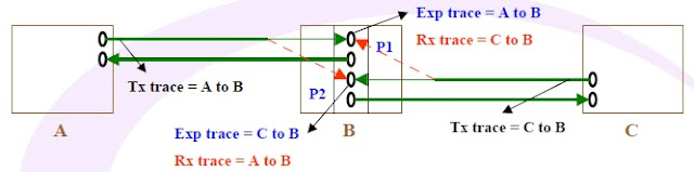 TIM J0 error trace in SDH network