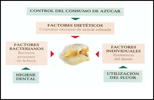 dientes1 dientes1