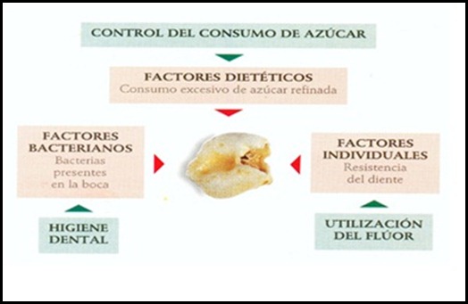 dientes1